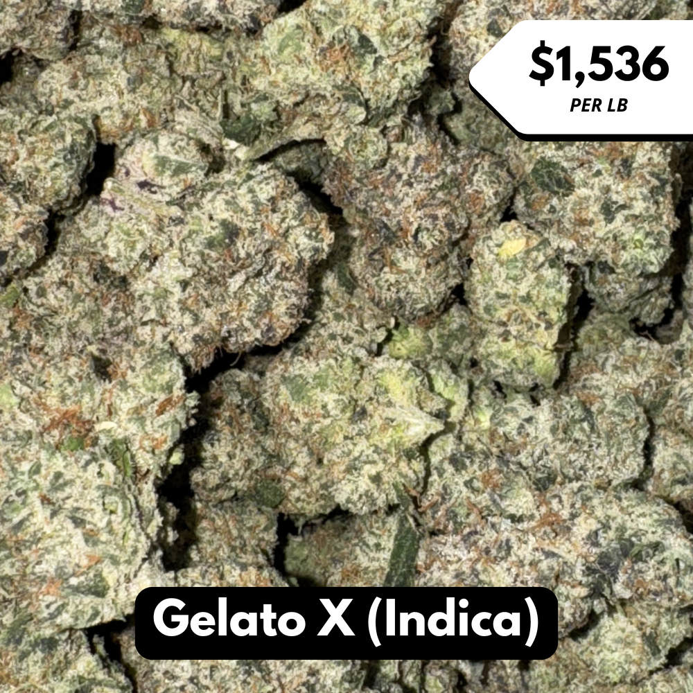 Natural THC-A Flower (Indica ~ Gelato X)