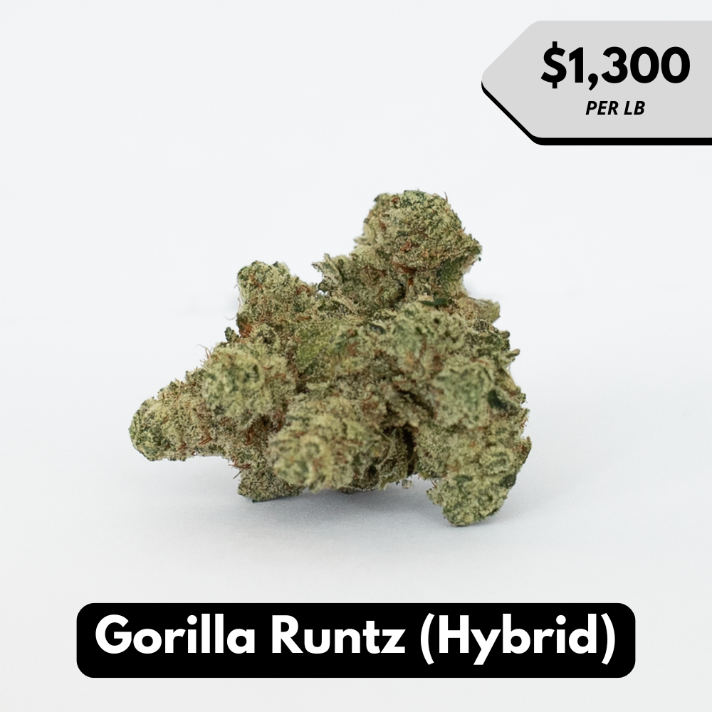 Natural THC-A Flower (Hybrid ~ Gorilla Runtz)