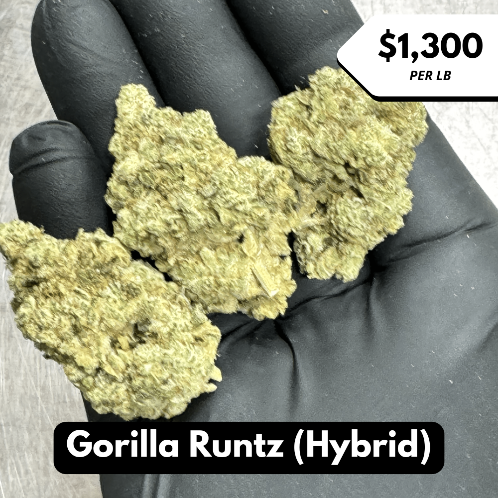 Natural THC-A Flower (Hybrid ~ Gorilla Runtz)