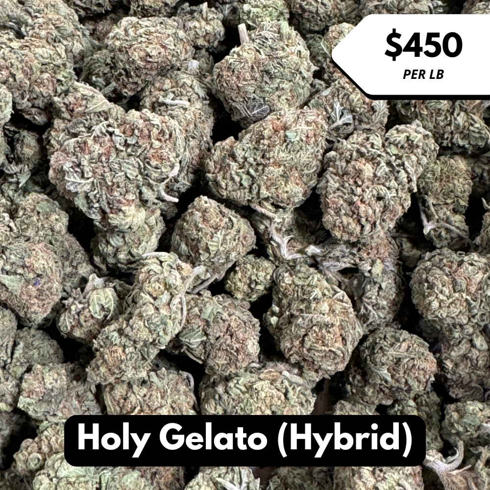 Natural THC-A Flower (Hybrid ~ Holy Gelato)