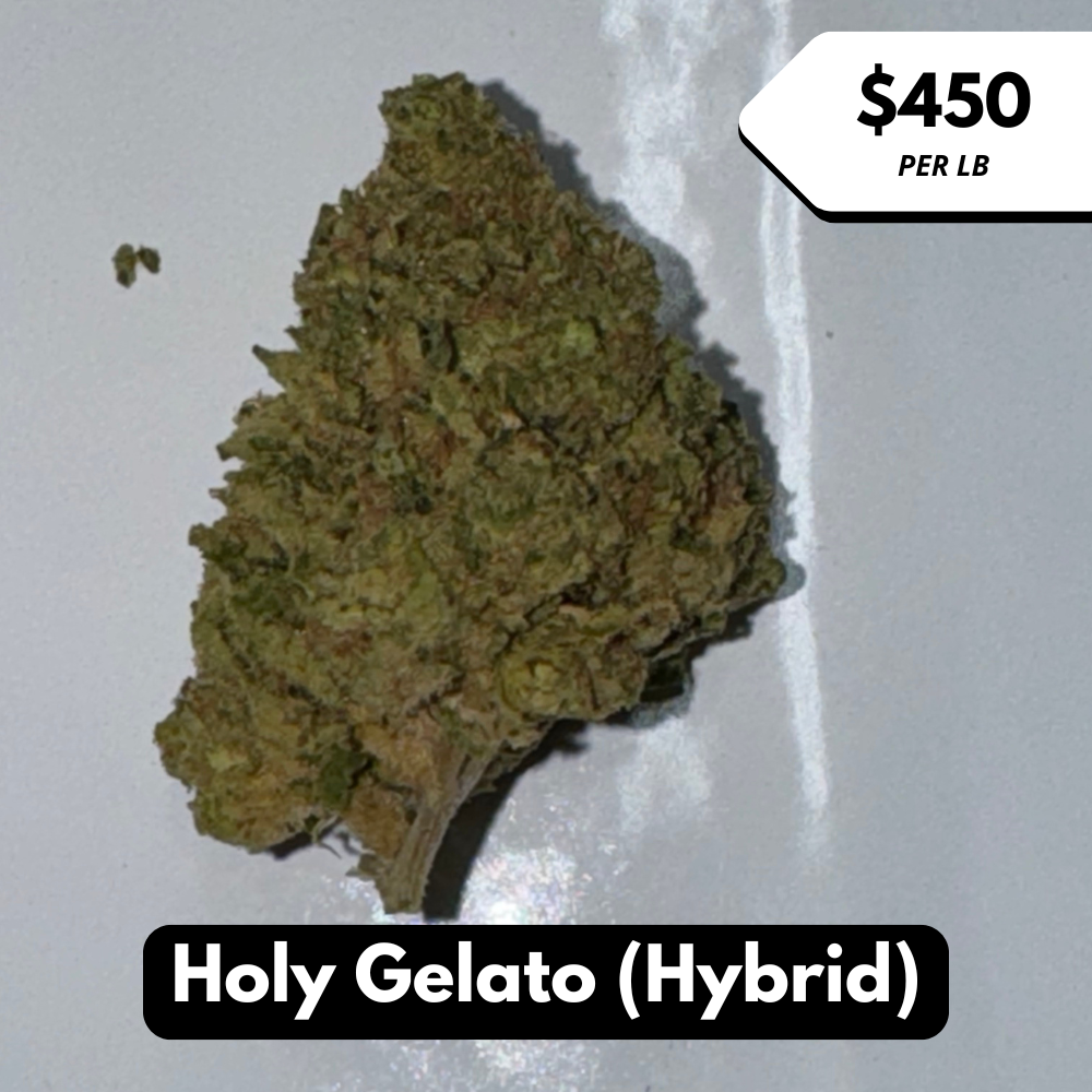 Natural THC-A Flower (Hybrid ~ Holy Gelato)