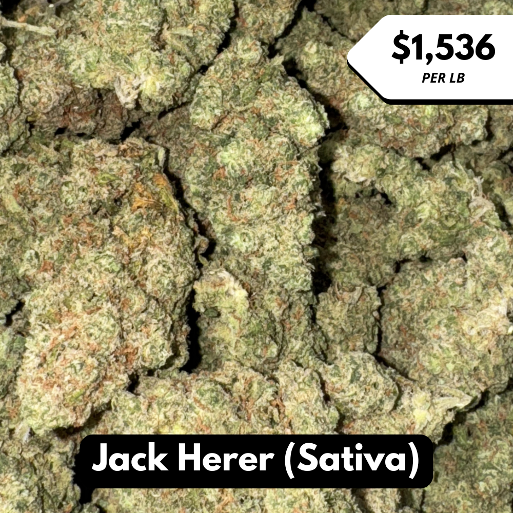 Natural THC-A Flower (Sativa ~ Jack Herer)