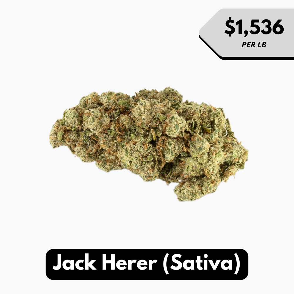 Natural THC-A Flower (Sativa ~ Jack Herer)