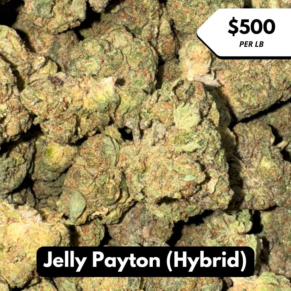 Natural THC-A Flower (Hybrid ~ Jelly Payton)