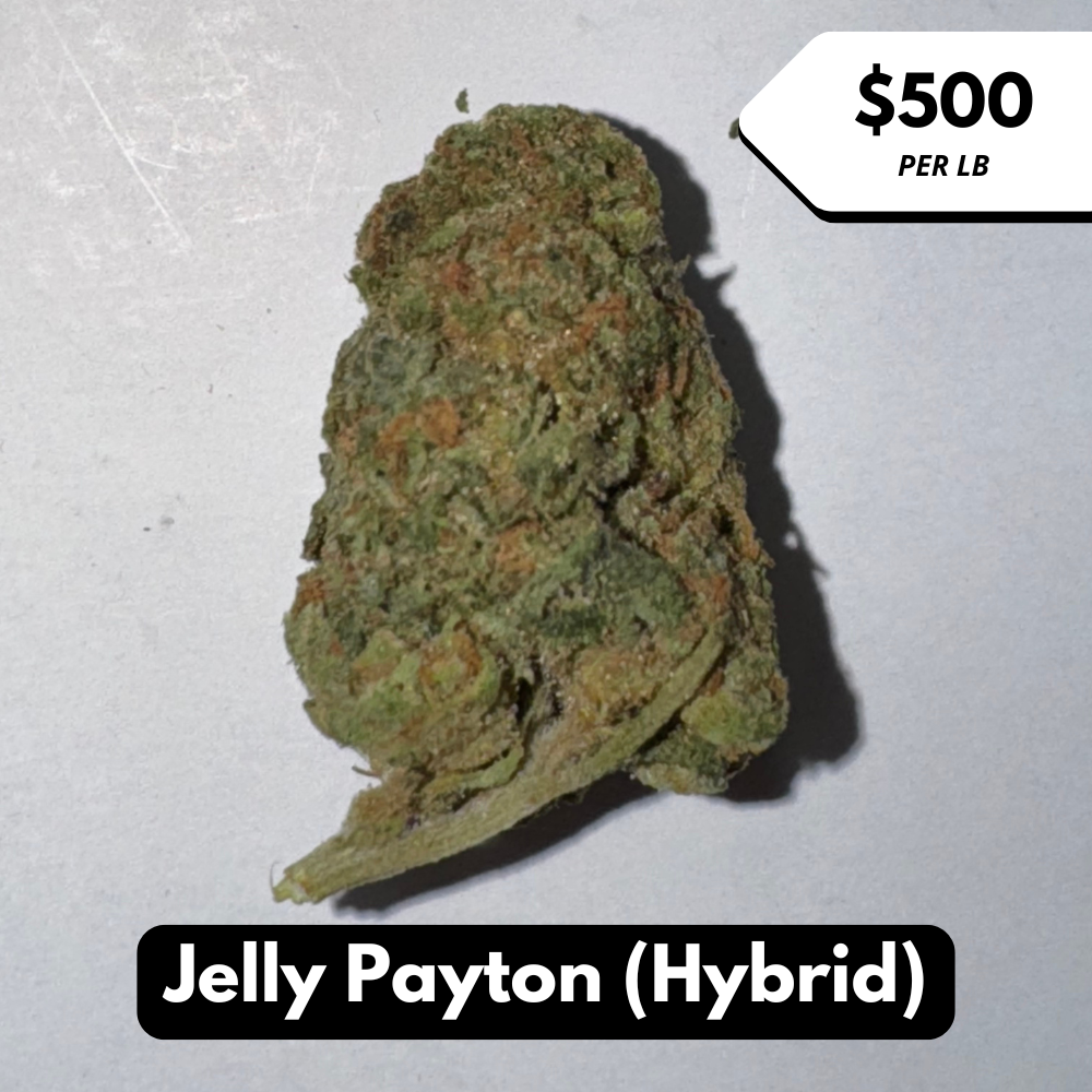 Natural THC-A Flower (Hybrid ~ Jelly Payton)