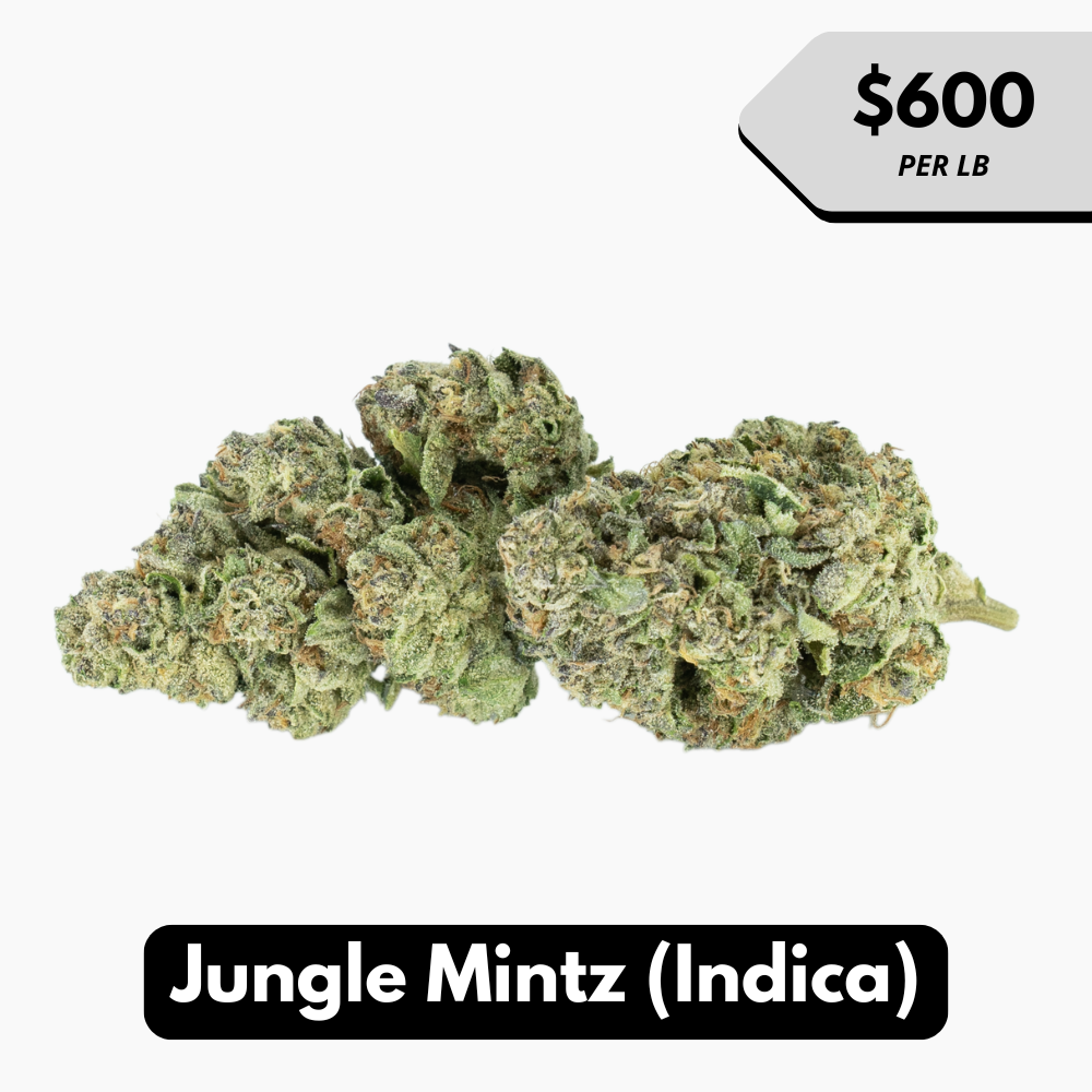 Natural THC-A Flower (Indica ~ Jungle Mintz)