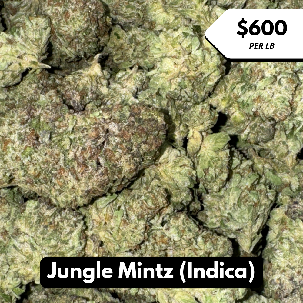 Natural THC-A Flower (Indica ~ Jungle Mintz)