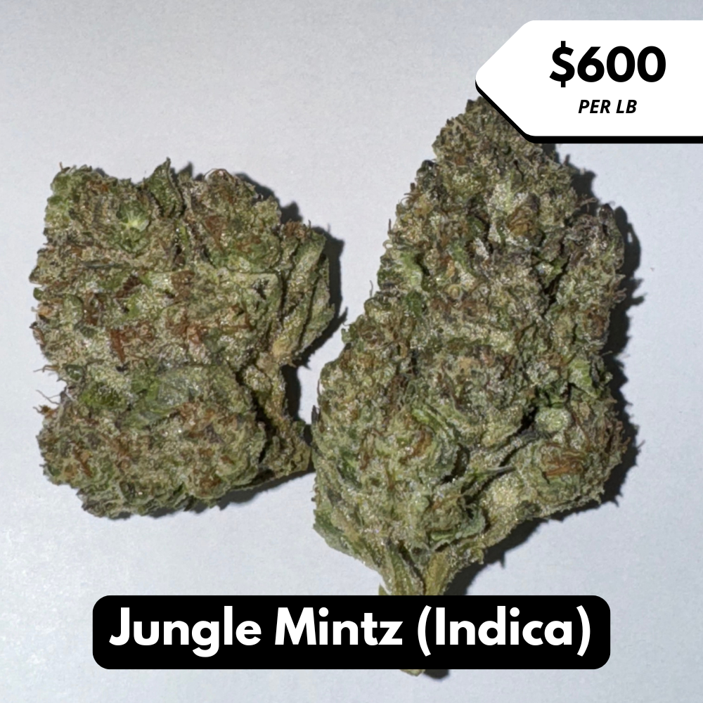 Natural THC-A Flower (Indica ~ Jungle Mintz)