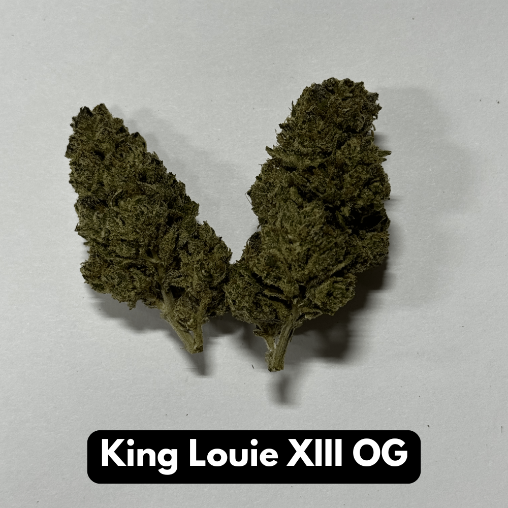 Natural THC-A Flower (King Louie XIII OG)