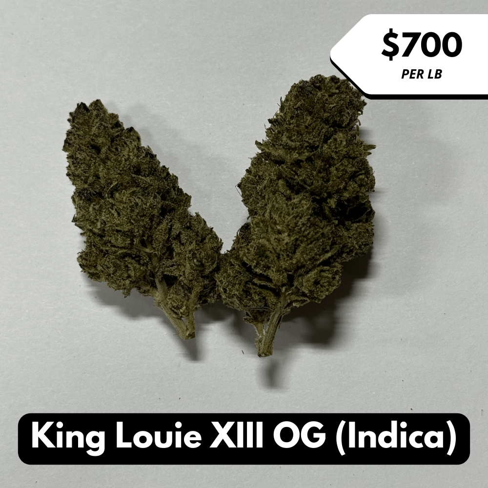 Natural THC-A Flower (King Louie XIII OG)