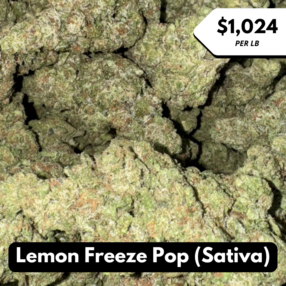 Natural THC-A Flower (Sativa ~ Lemon Freeze Pop)