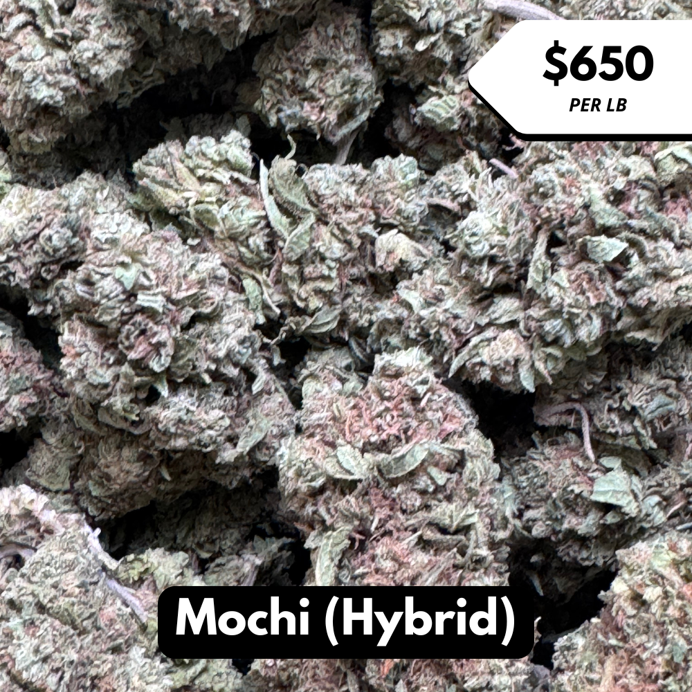 Natural THC-A Flower (Hybrid ~ Mochi)