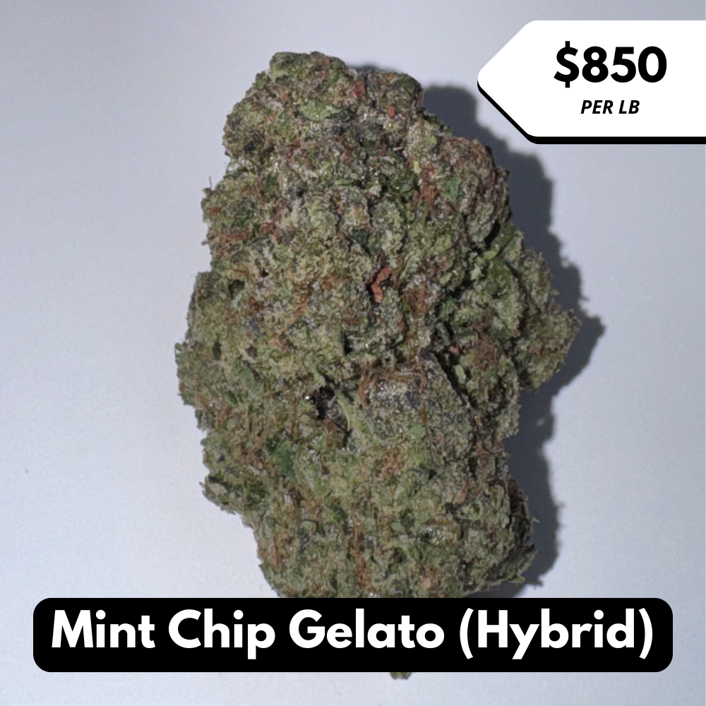 Natural THC-A Flower (Hybrid ~ Mint Chip Gelato)
