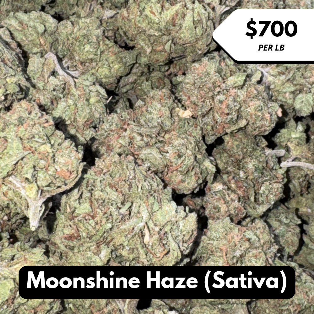 Natural THC-A Flower (Sativa ~ Moonshine Haze)