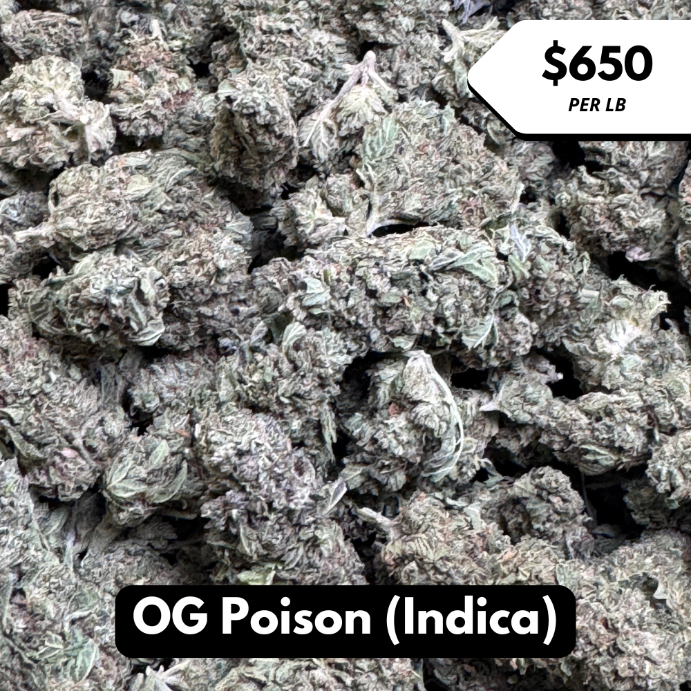 Natural THC-A Flower (Indica ~ OG Poison)