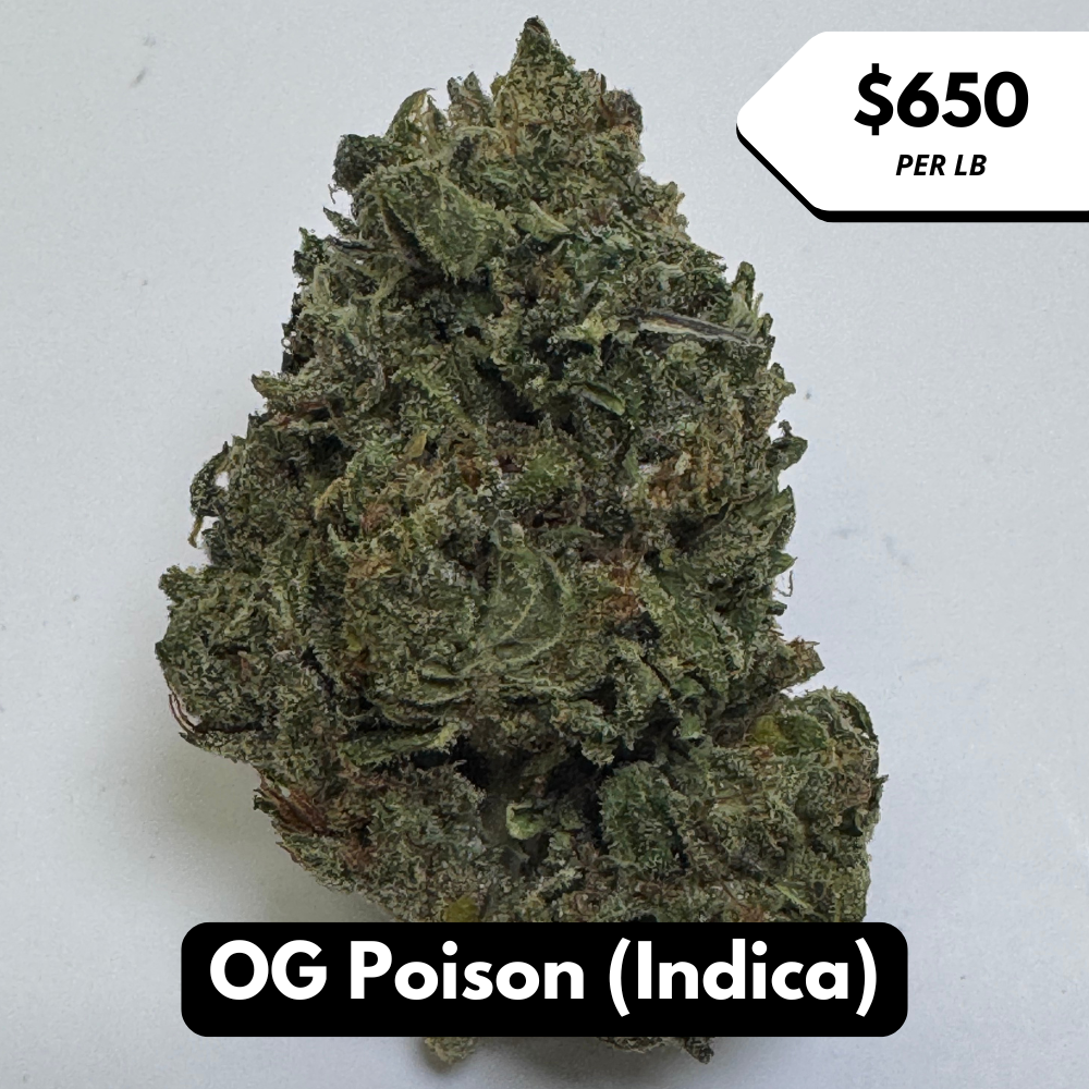Natural THC-A Flower (Indica ~ OG Poison)