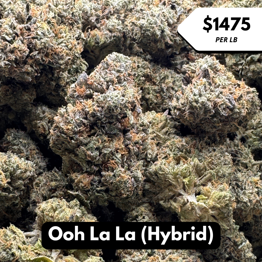 Natural THC-A Flower (Hybrid ~ Ooh La La)