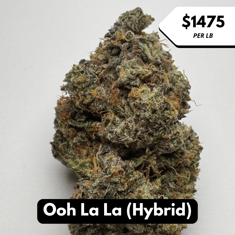 Natural THC-A Flower (Hybrid ~ Ooh La La)