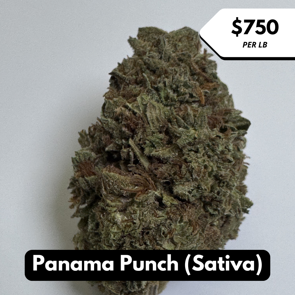 Natural THC-A Flower (Sativa ~ Panama Punch)