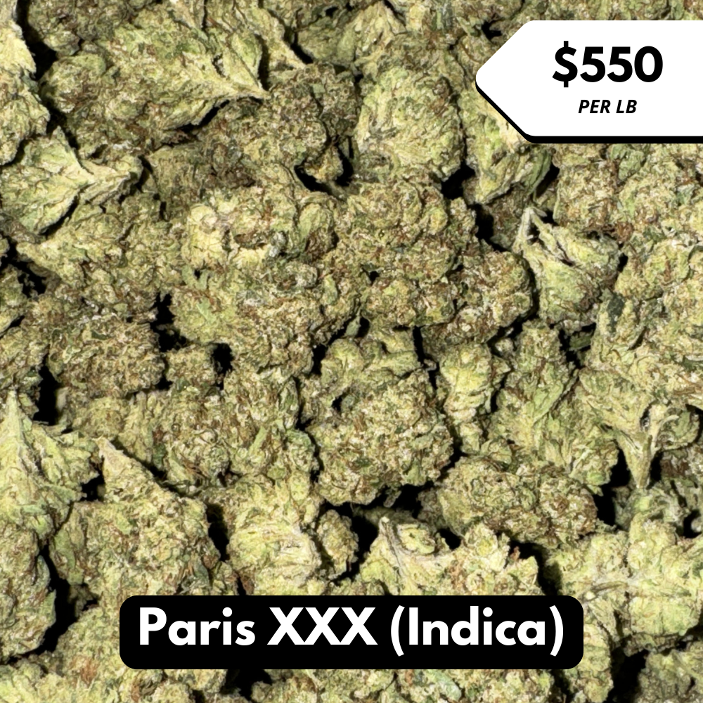 Natural THC-A Flower (Indica ~ Paris XXX)