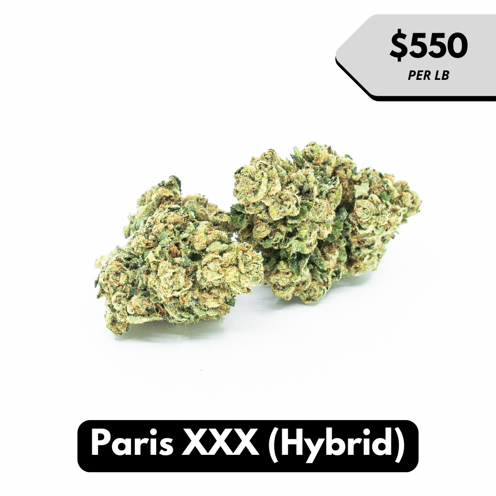 Natural THC-A Flower (Indica ~ Paris XXX)