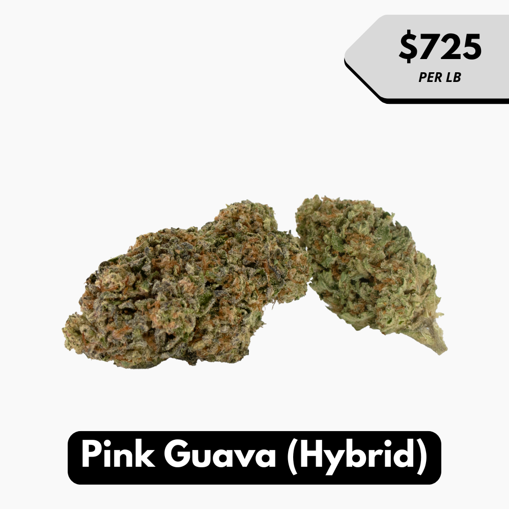 Natural THC-A Flower (Hybrid ~ Pink Guava)