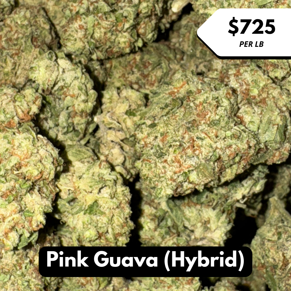 Natural THC-A Flower (Hybrid ~ Pink Guava)