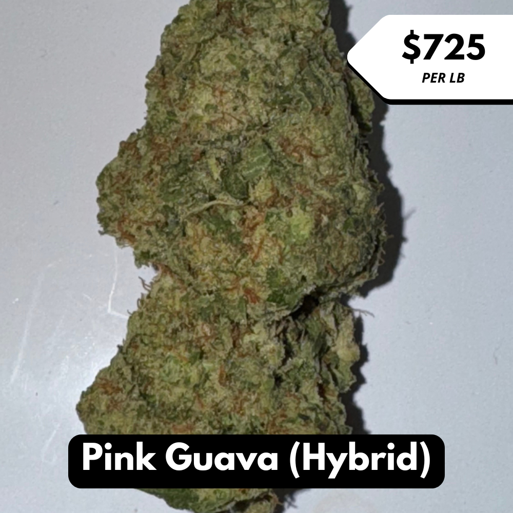 Natural THC-A Flower (Hybrid ~ Pink Guava)