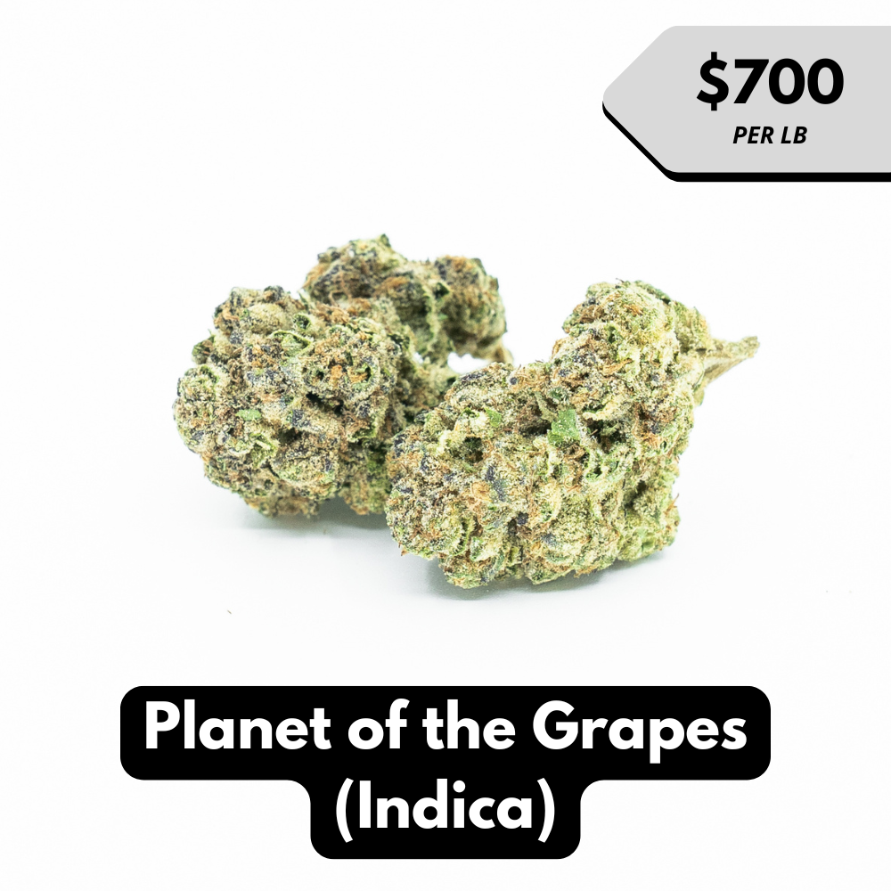 Natural THC-A Flower (Indica ~ Planet of the Grapes)