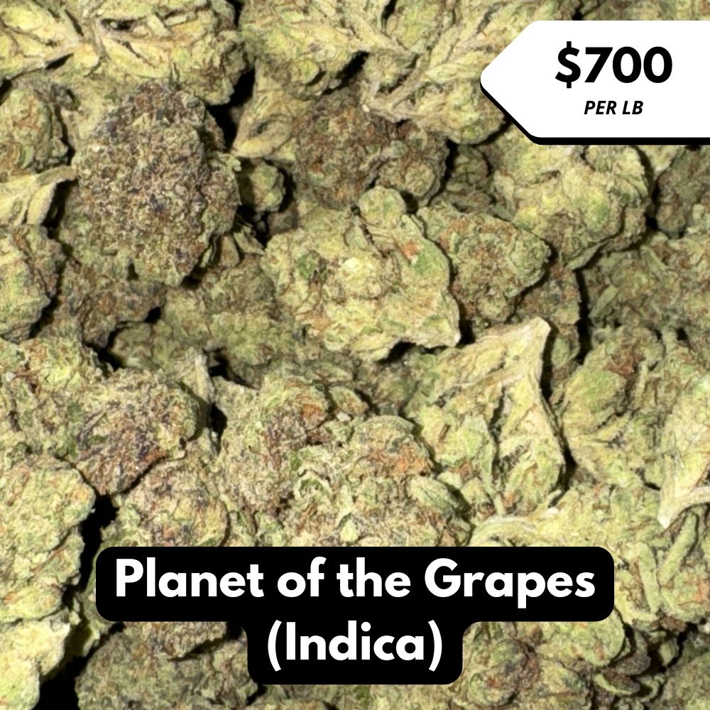 Natural THC-A Flower (Indica ~ Planet of the Grapes)