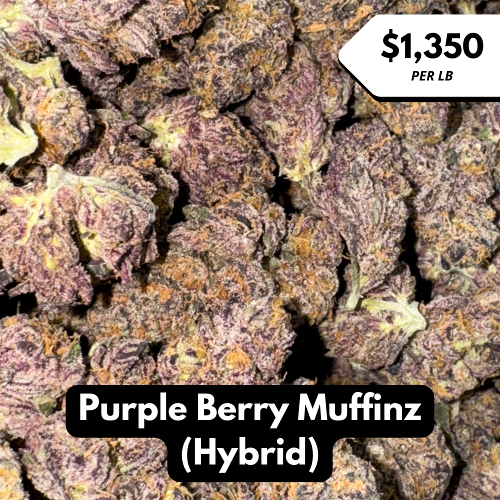 Natural THC-A Flower (Hybrid ~ Purple Berry Muffinz)