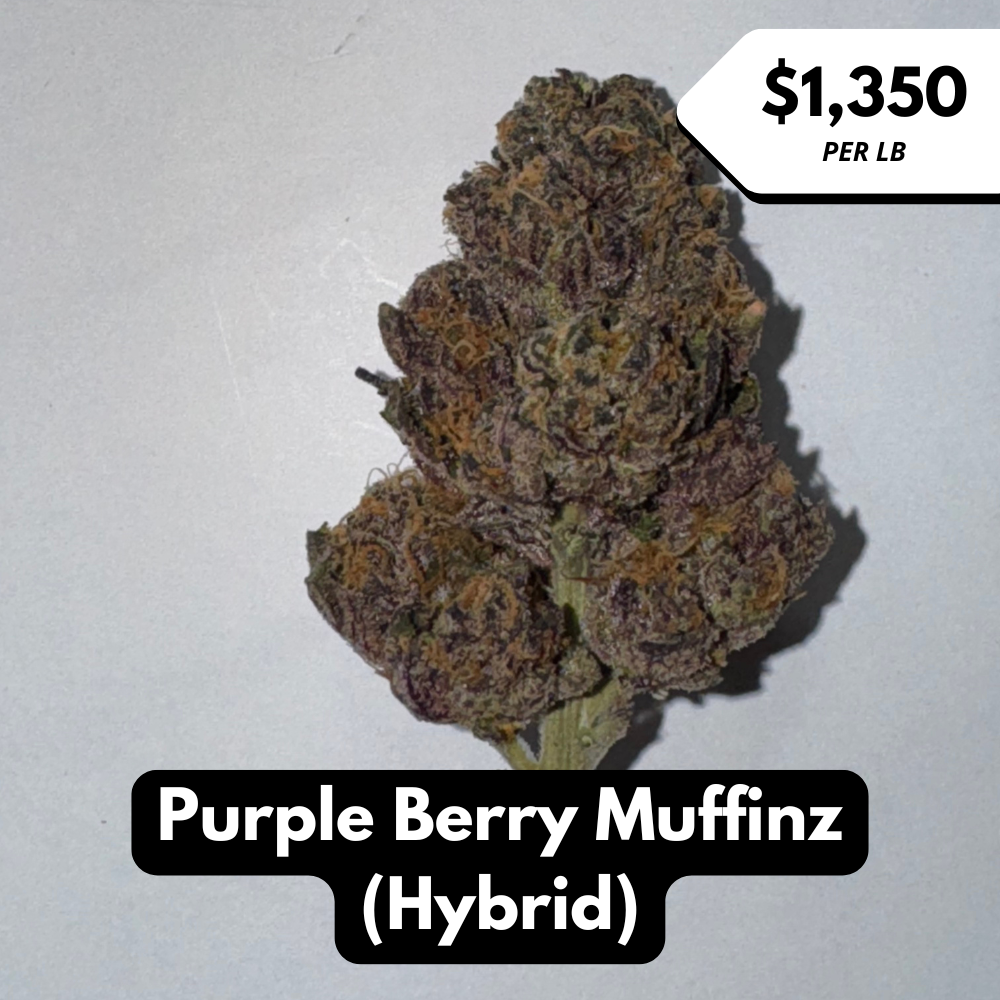 Natural THC-A Flower (Hybrid ~ Purple Berry Muffinz)