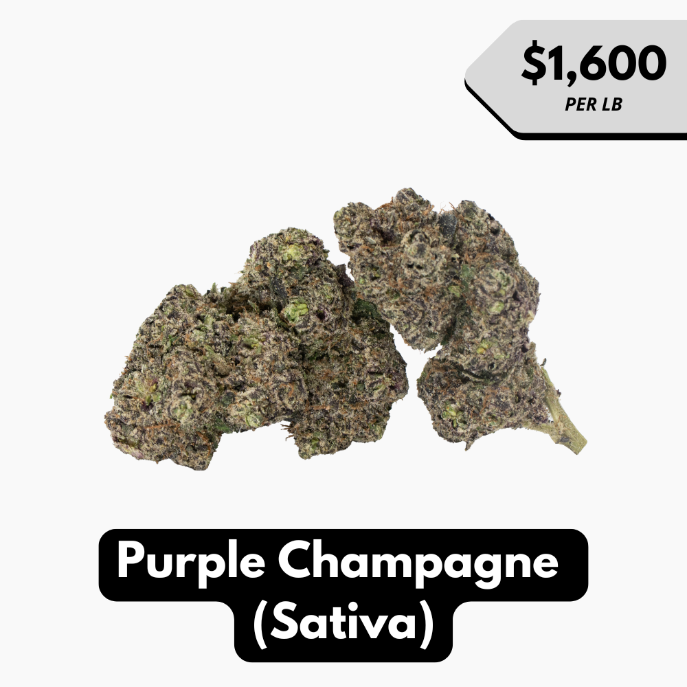 Natural THC-A Flower (Sativa ~ Purple Champagne)