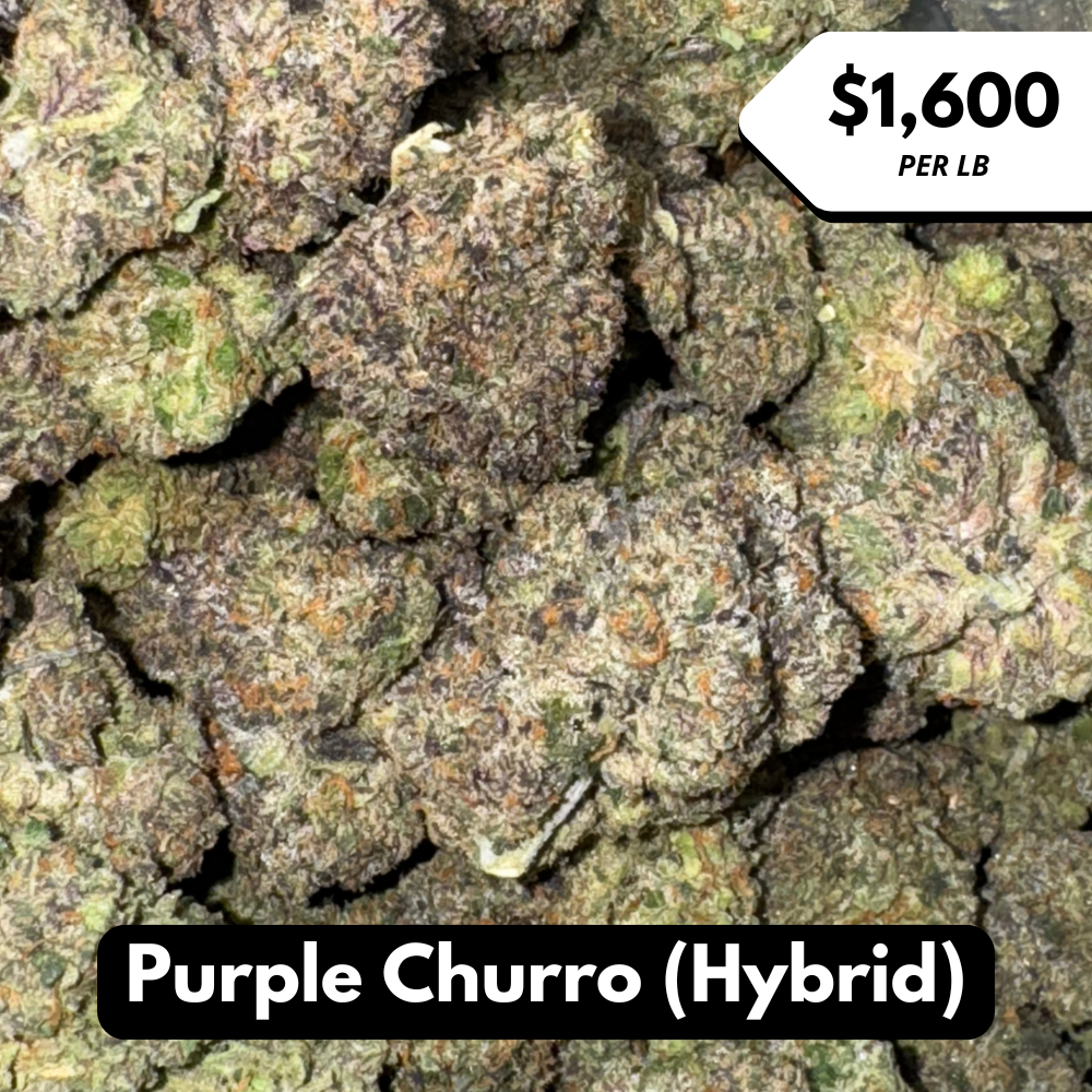 Natural THC-A Flower (Hybrid ~ Purple Churro)