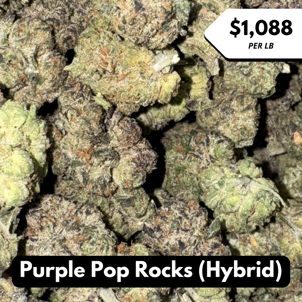 Natural THC-A Flower (Hybrid ~ Purple Pop Rocks)