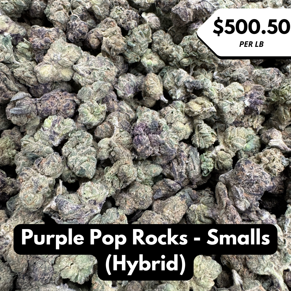 Natural THC-A Flower (Hybrid ~ Purple Pop Rocks ~ Smalls)