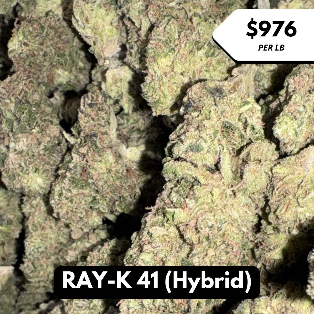 Natural THC-A Flower (Hybrid ~ RAY-K 41)