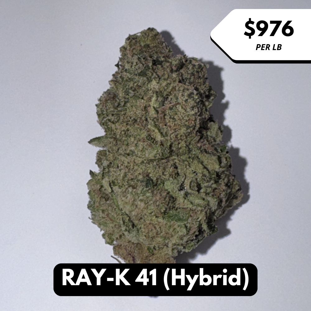 Natural THC-A Flower (Hybrid ~ RAY-K 41)