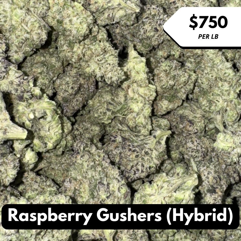 Natural THC-A Flower (Hybrid ~ Raspberry Gushers)