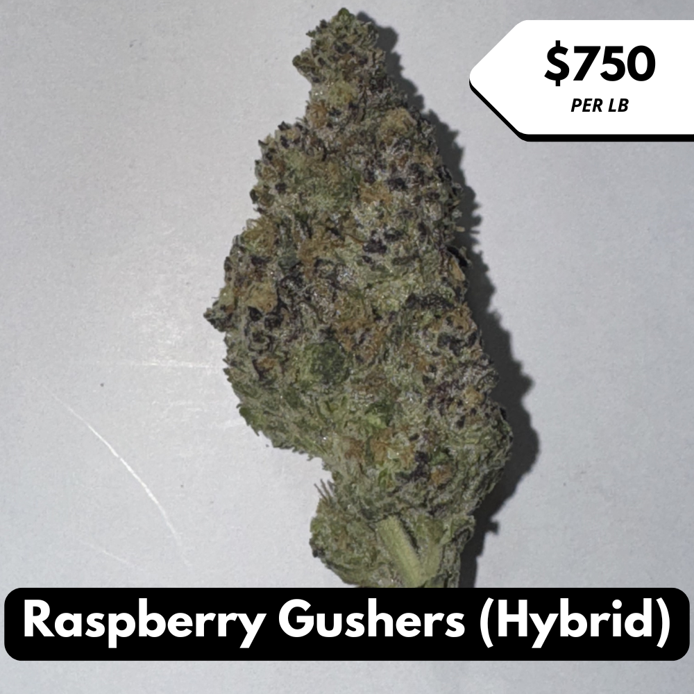 Natural THC-A Flower (Hybrid ~ Raspberry Gushers)