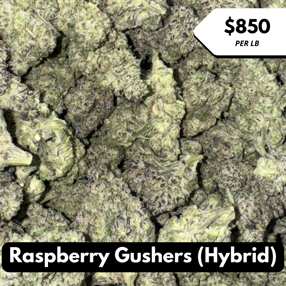 Natural THC-A Flower (Hybrid ~ Raspberry Gushers)