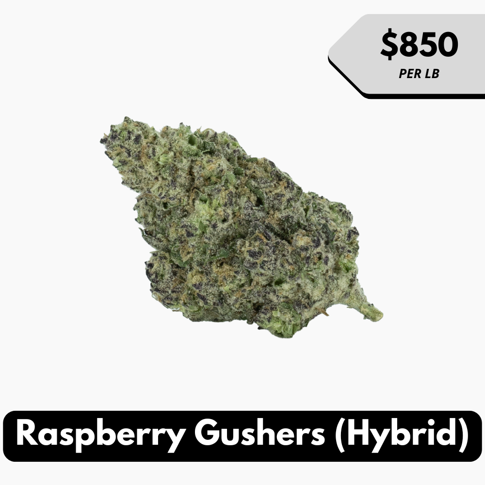 Natural THC-A Flower (Hybrid ~ Raspberry Gushers)