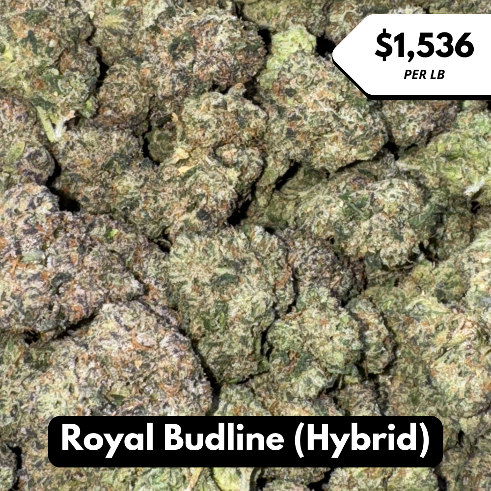Natural THC-A Flower (Hybrid ~ Royal Budline)