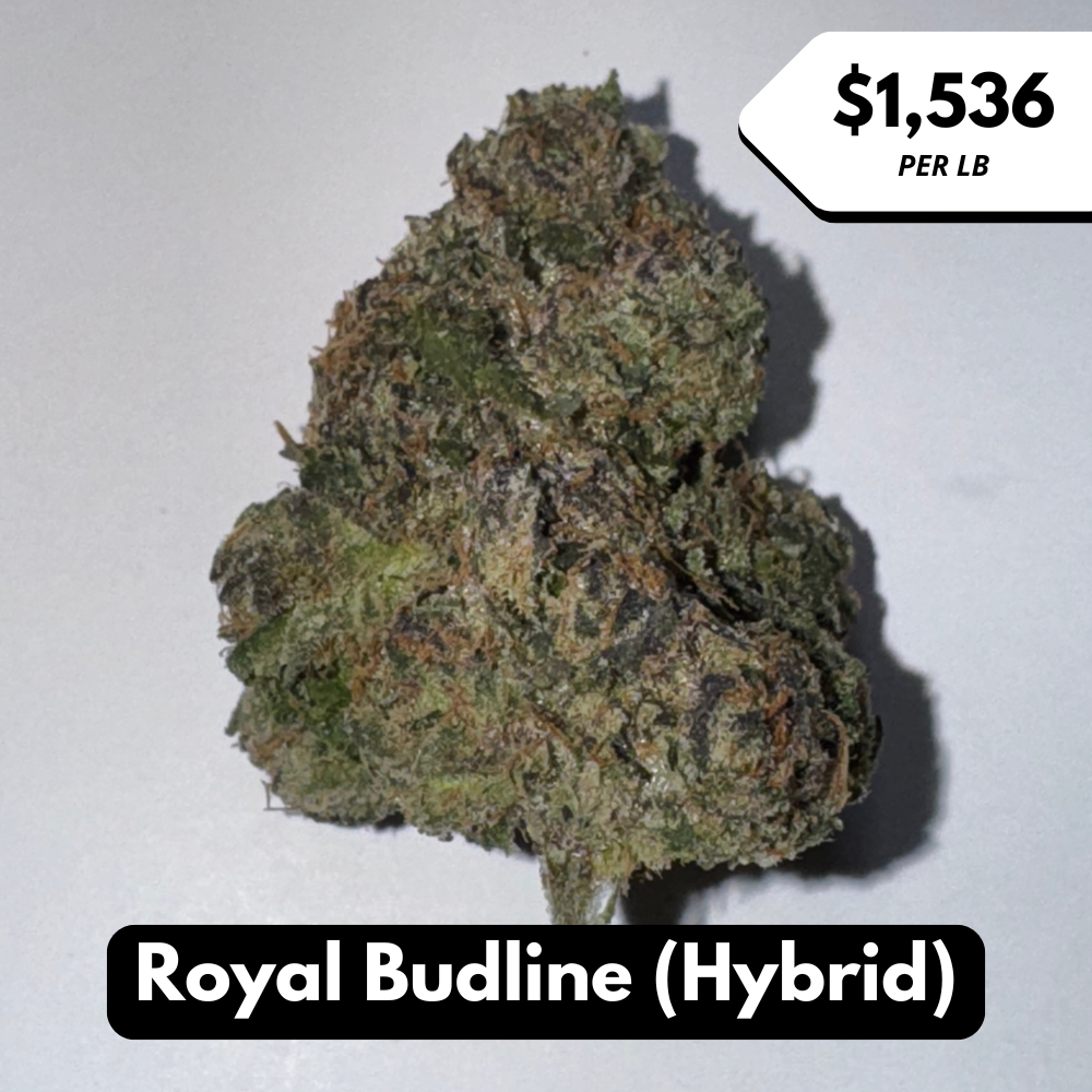 Natural THC-A Flower (Hybrid ~ Royal Budline)