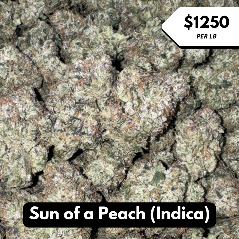 Natural THC-A Flower (Indica ~ Sun of a Peach)
