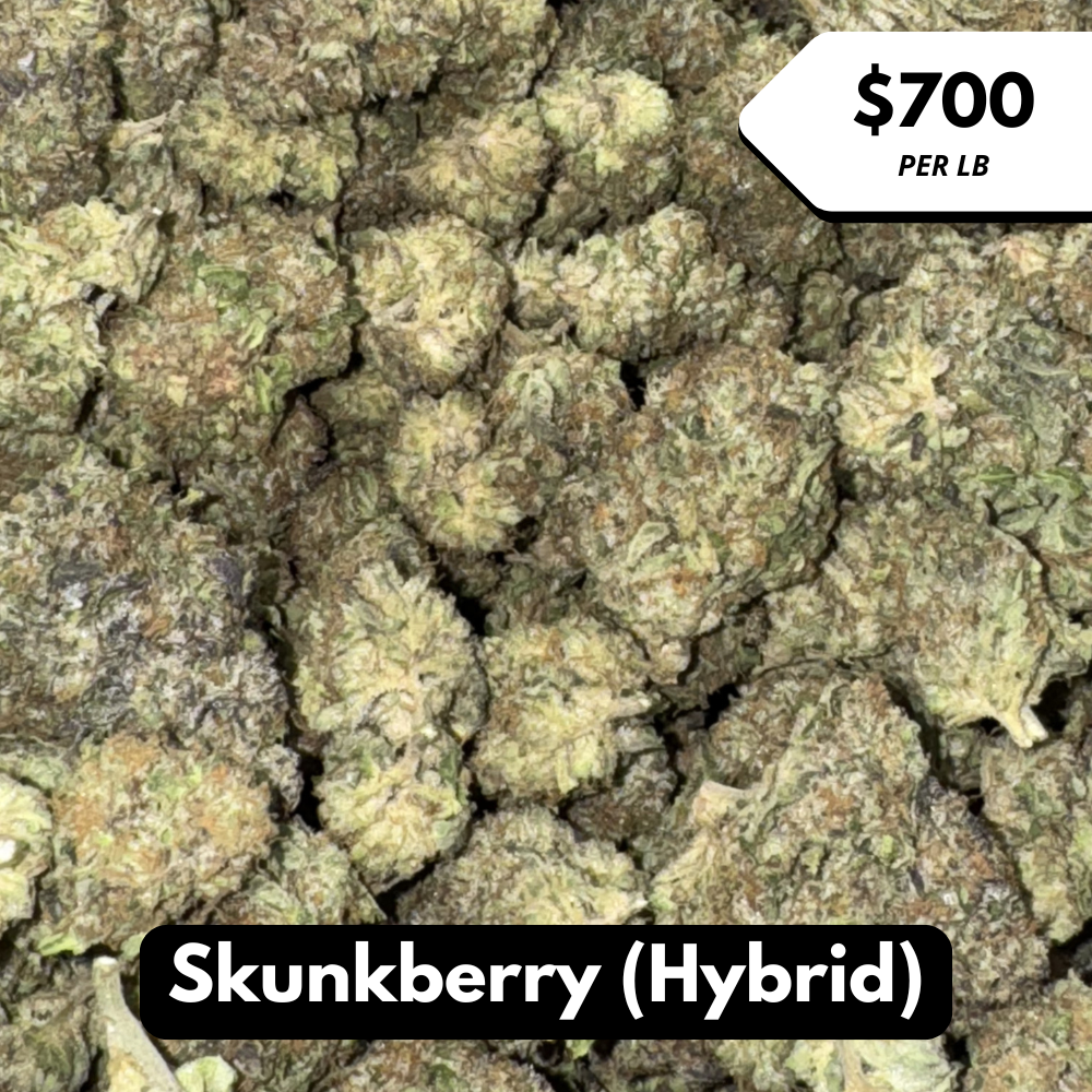 Natural THC-A Flower (Hybrid ~ Skunkberry)