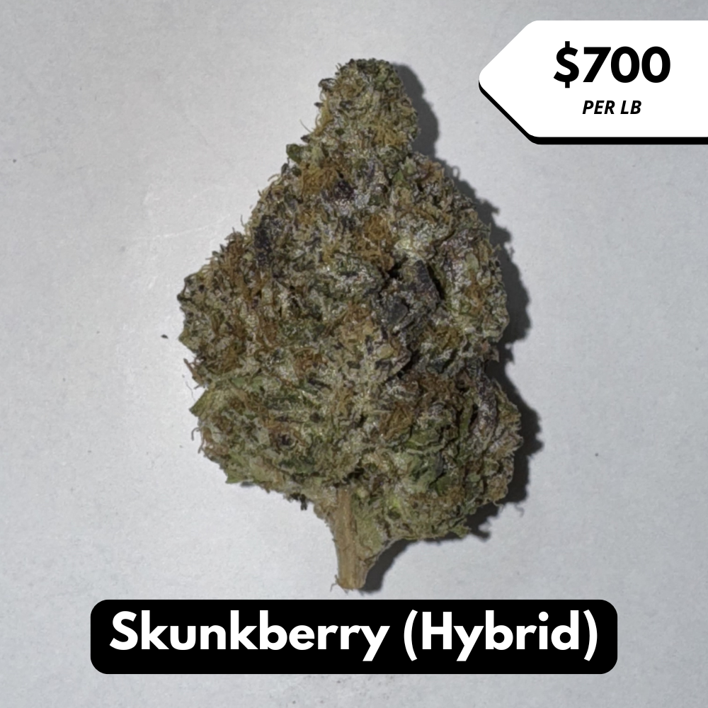 Natural THC-A Flower (Hybrid ~ Skunkberry)