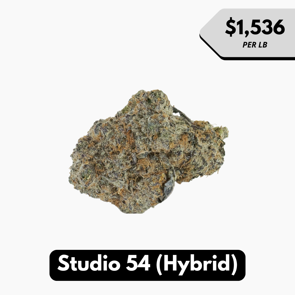 Natural THC-A Flower (Hybrid ~ Studio 54)