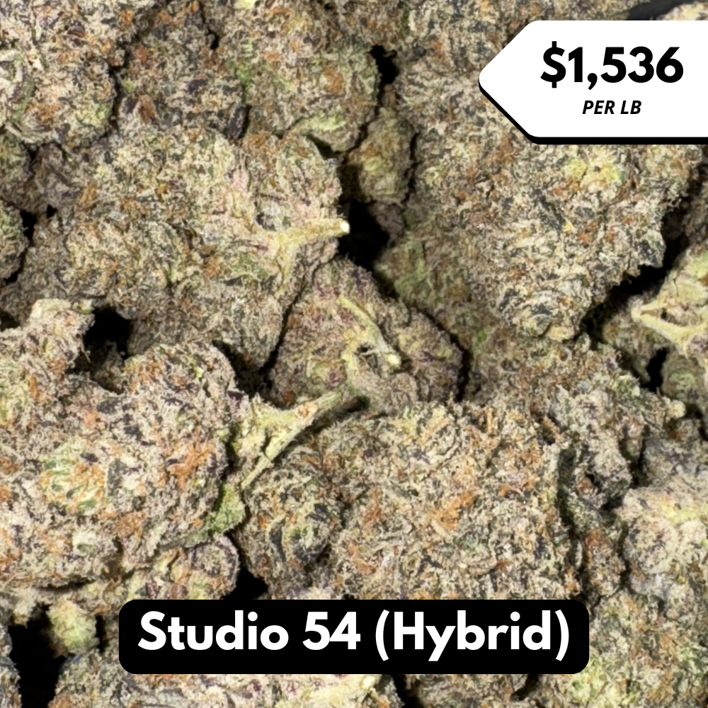 Natural THC-A Flower (Hybrid ~ Studio 54)