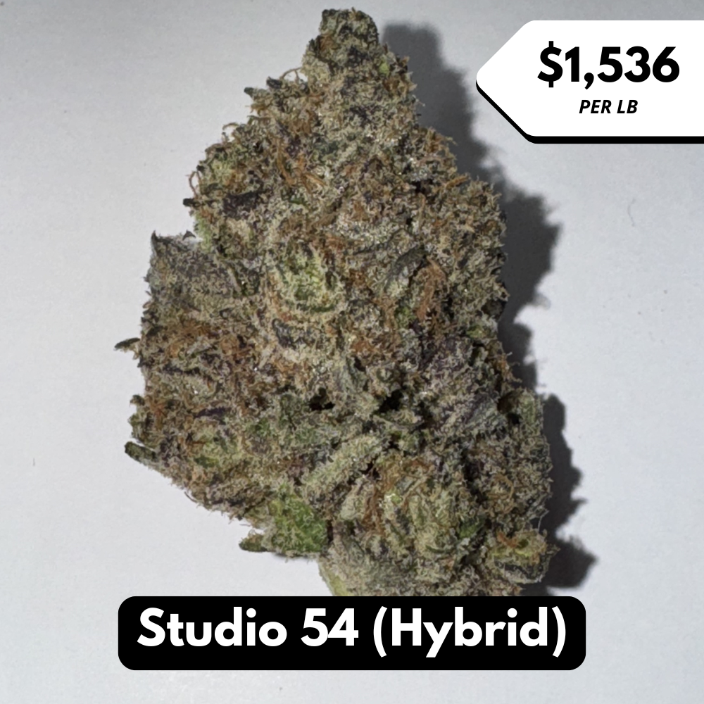 Natural THC-A Flower (Hybrid ~ Studio 54)